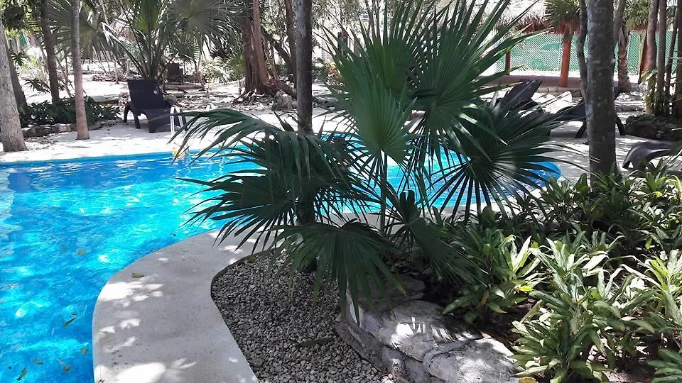 فندق بويرتو موريلوسفي  Casa Palma Real J&B بيت للعطل
